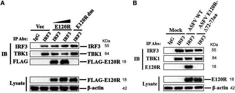 FIG 9