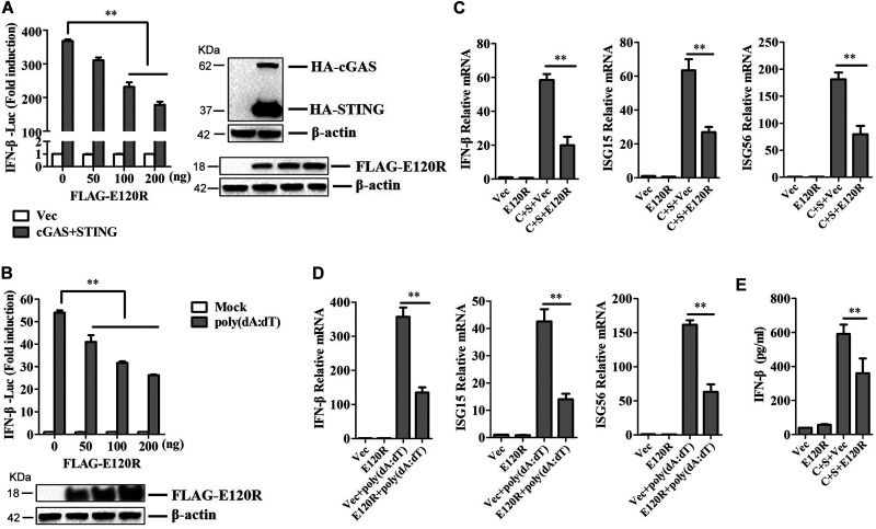 FIG 1