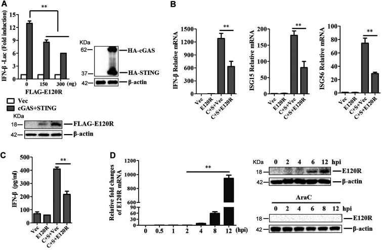 FIG 2