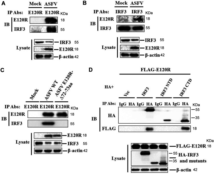 FIG 8