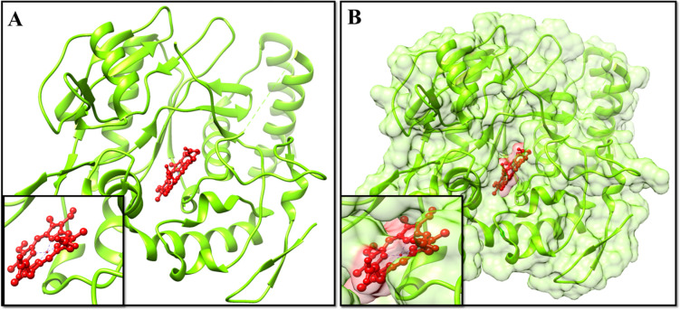 Fig 2