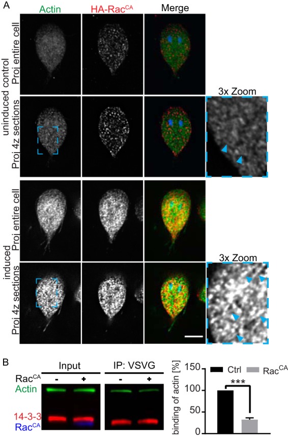 FIG 6 