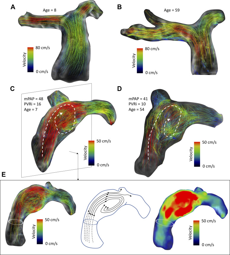 Fig. 7.