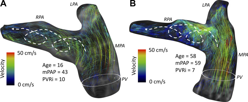 Fig. 9.