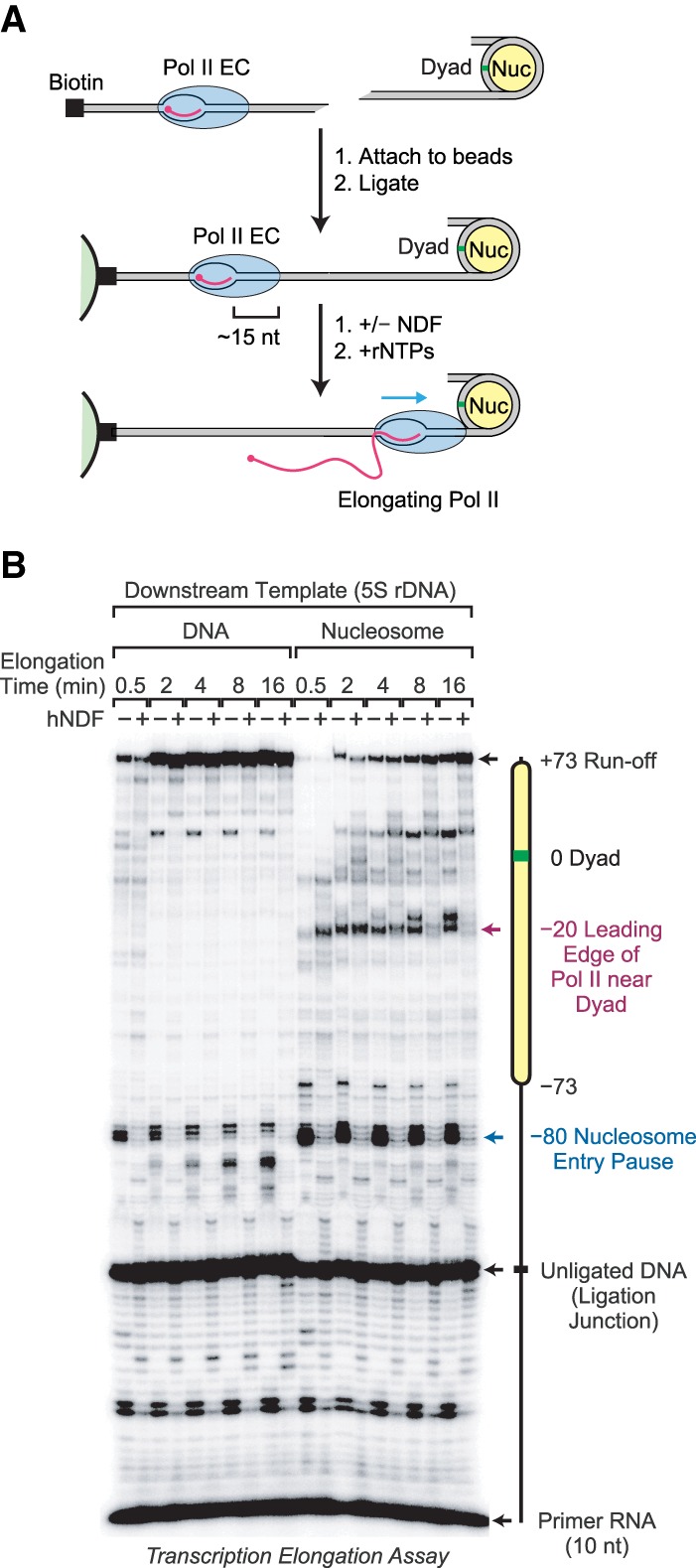 Figure 6.