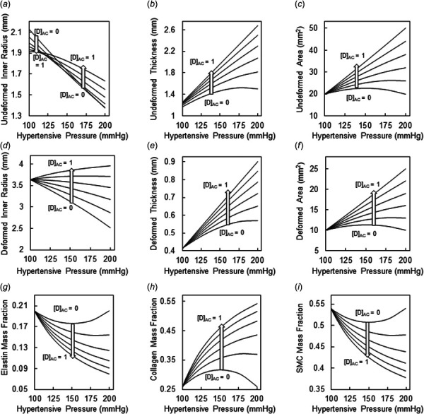 Geometrical and compositional outcomes of maladaptive pressure-mediated arterial remodeling following novel DCB deployment. Remodeling outcomes for a fixed AP dosing parameter (D[AP]=0.5) with the AC dosing parameter (D[AC]) ranging from 0−1 in 0.2 increments, with the arrow indicating the AC dosing associated with each curve. Outcomes include (a) undeformed inner radius, (b) undeformed wall thickness, (c) undeformed wall area, (d) deformed inner radius, (e) deformed wall thickness, (f) deformed wall area, (g) elastin mass fraction, (h) collagen mass fraction, and (i) SMC mass fraction.