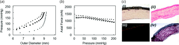 Mechanical and histological data on the porcine femoral artery. Obtained mechanical response data include (a)pressure-outer diameter and (b) axial force-pressure relations when the artery is at fixed axial stretch (λ1=2.0) and under basal (■), maximally contracted (●), and fully relaxed (○) SMC states. (c) Histological preparations to assess arterial wall composition include (i) Resorcin Fuchsin with Woodstain Scarlet Acid Fuchsin counterstain, Direct Red (0.1% in saturated picric acid) using (ii) bright-field, and (iii) cross-polarized light, and (iv) a combination of Verhoeff–Masson's stain.