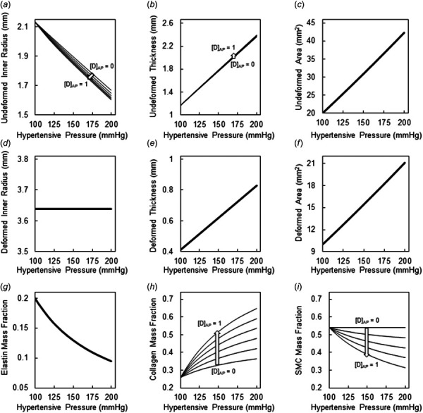 Geometrical and compositional outcomes of adaptive pressure-mediated arterial remodeling following traditional DCB deployment. Remodeling outcomes for AP dosing parameter (D[AP]) ranging from 0−1 in 0.2 increments, with the arrow indicating the dosing associated with each curve. Outcomes include (a) undeformed inner radius, (b)undeformed wall thickness, (c) undeformed wall area, (d) deformed inner radius, (e) deformed wall thickness, (f)deformed wall area, (g) elastin mass fraction, (h) collagen mass fraction, and (i) SMC mass fraction.