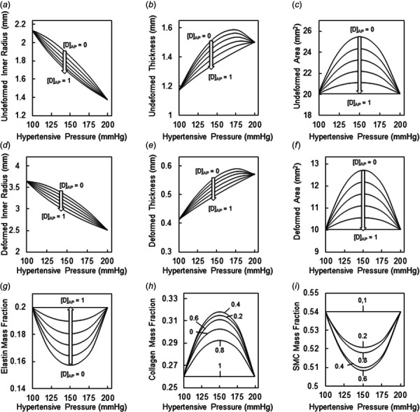 Geometrical and compositional outcomes of maladaptive pressure-mediated arterial remodeling following traditional DCB deployment. Remodeling outcomes for AP dosing parameter (D[AP]) ranging from 0−1 in 0.2 increments, with the arrow/hash mark indicating the dosing associated with each curve. Outcomes include (a) undeformed inner radius, (b) undeformed wall thickness, (c) undeformed wall area, (d) deformed inner radius, (e) deformed wall thickness, (f) deformed wall area, (g) elastin mass fraction, (h) collagen mass fraction, and (i) SMC mass fraction.
