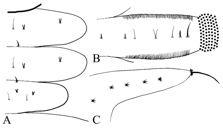 Figure 8