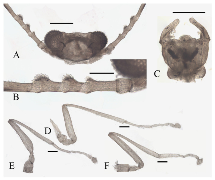 Figure 14