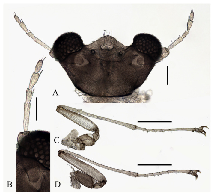 Figure 18