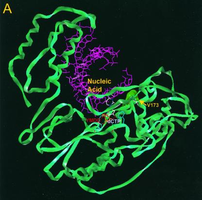 FIG. 4.