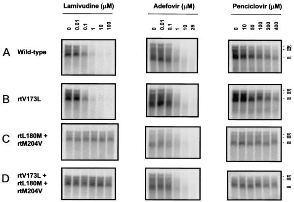 FIG. 2.