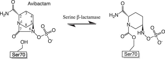 FIG 1