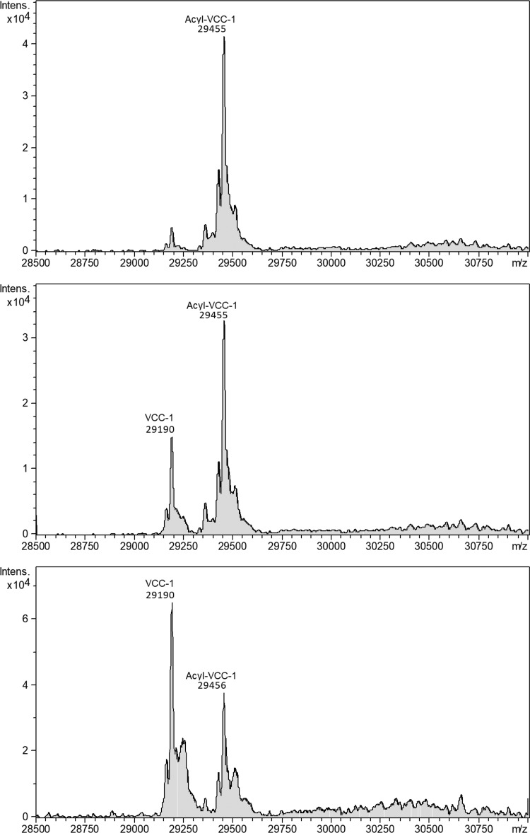 FIG 2