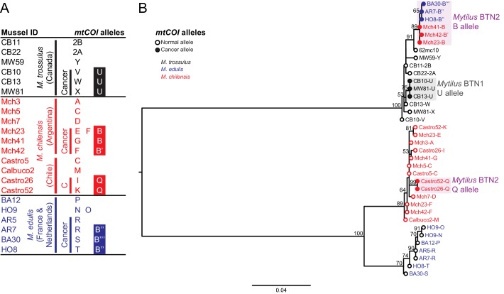 Figure 4.