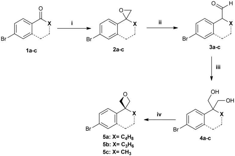 Scheme 1