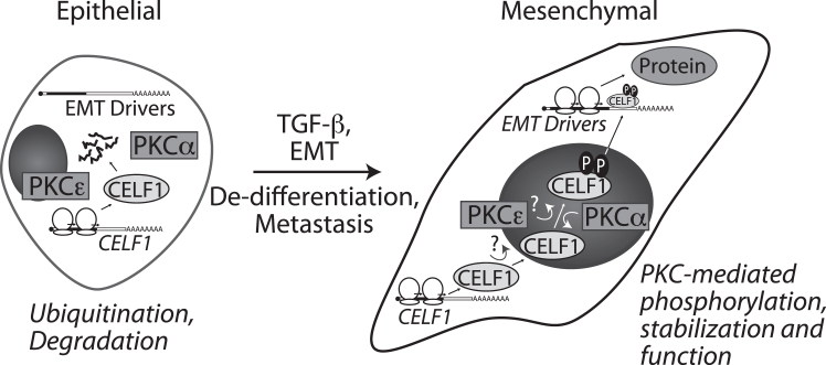 Figure 7