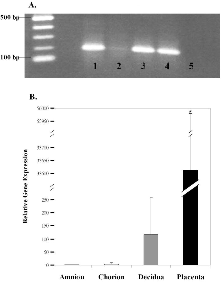 FIG.2