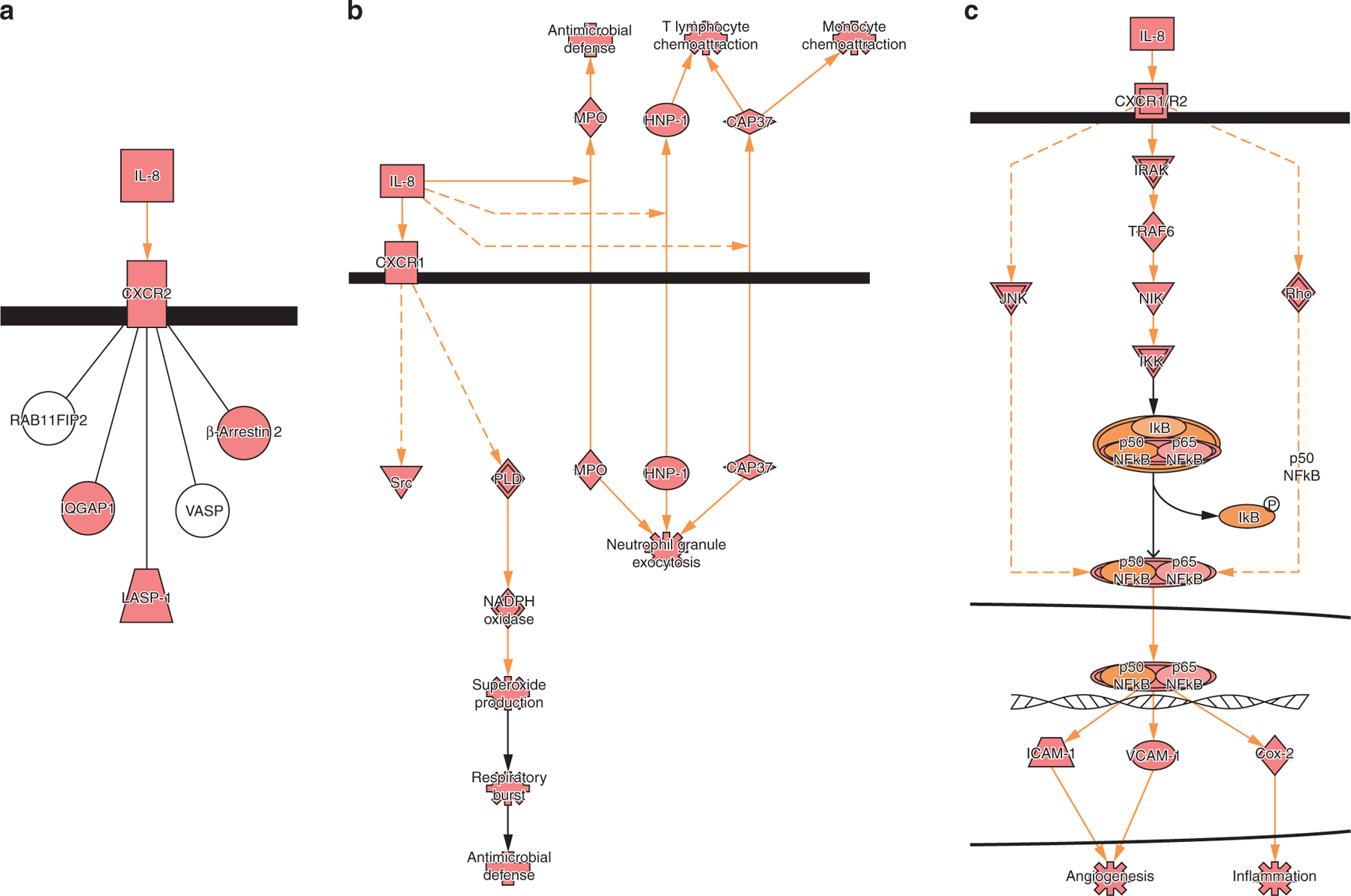 Figure 5.