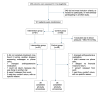 Flow diagram of randomized patients, beginning to end of the study