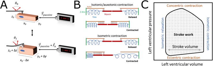 FIG. 4.