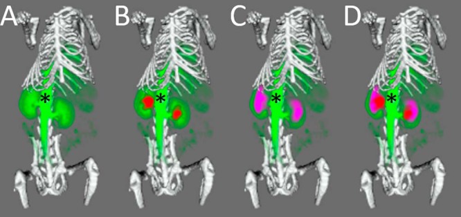 Figure 6.