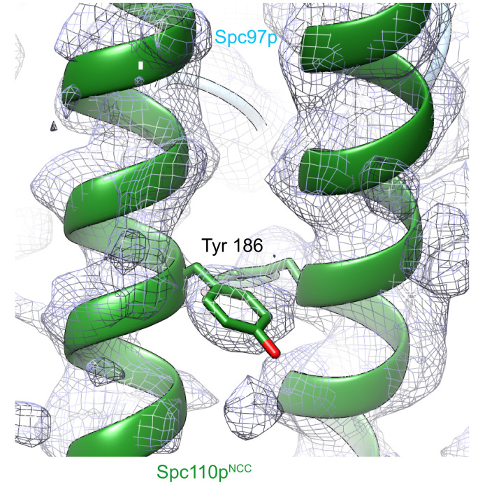 Figure 4—figure supplement 1.