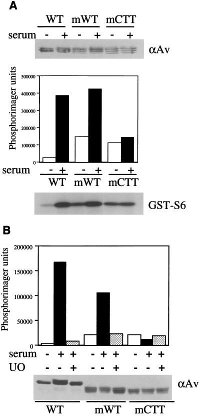 FIG. 5