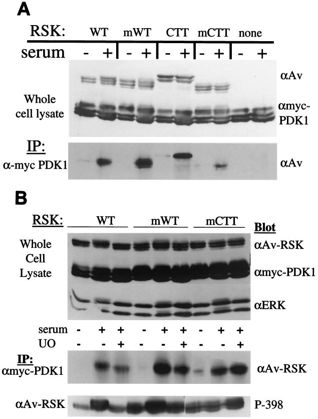 FIG. 7