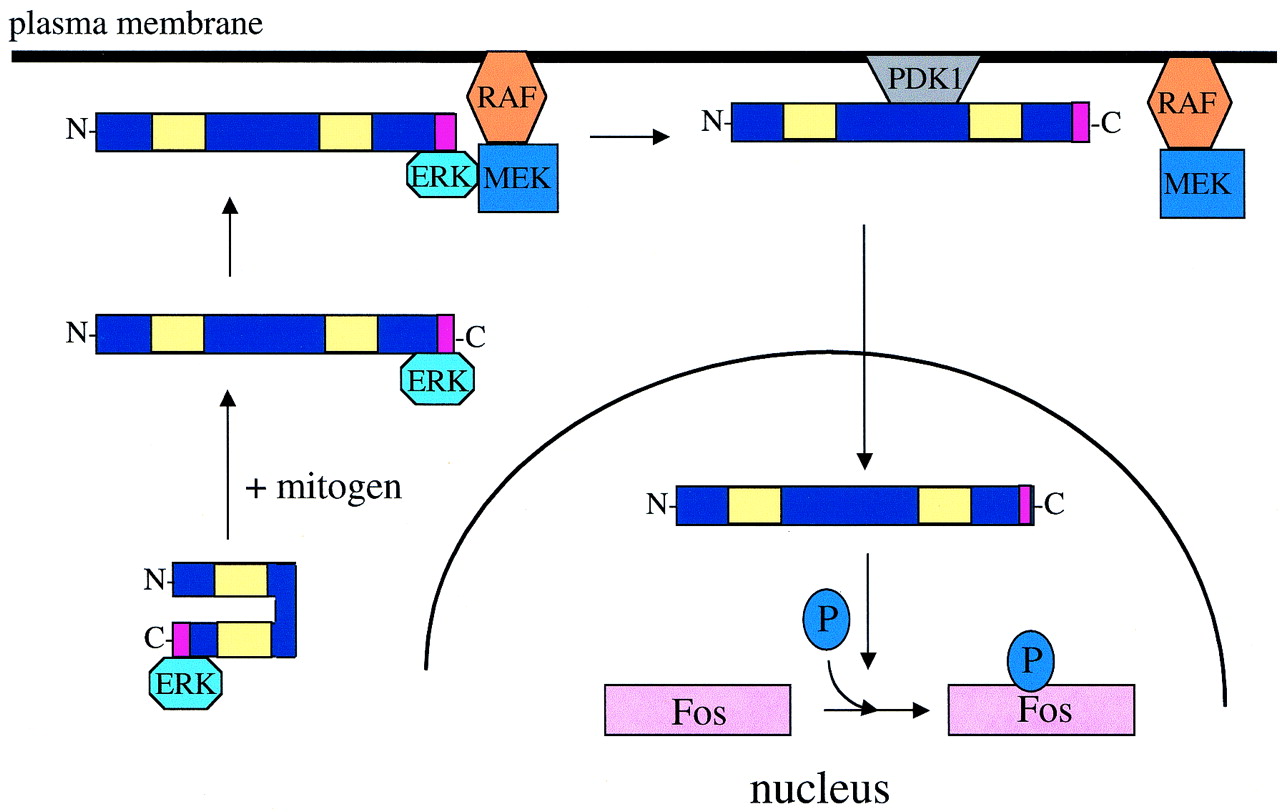 FIG. 9