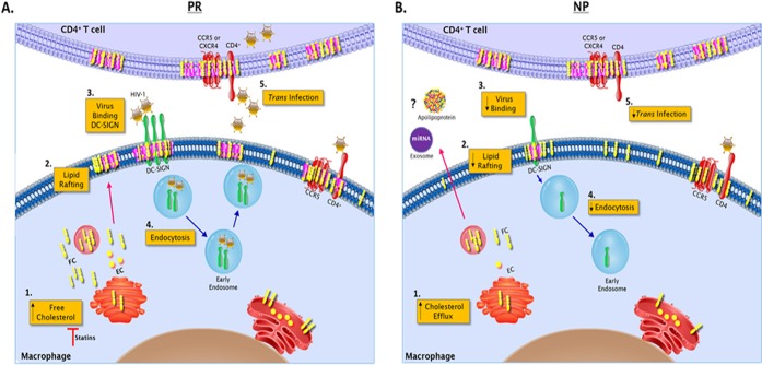 FIG 12