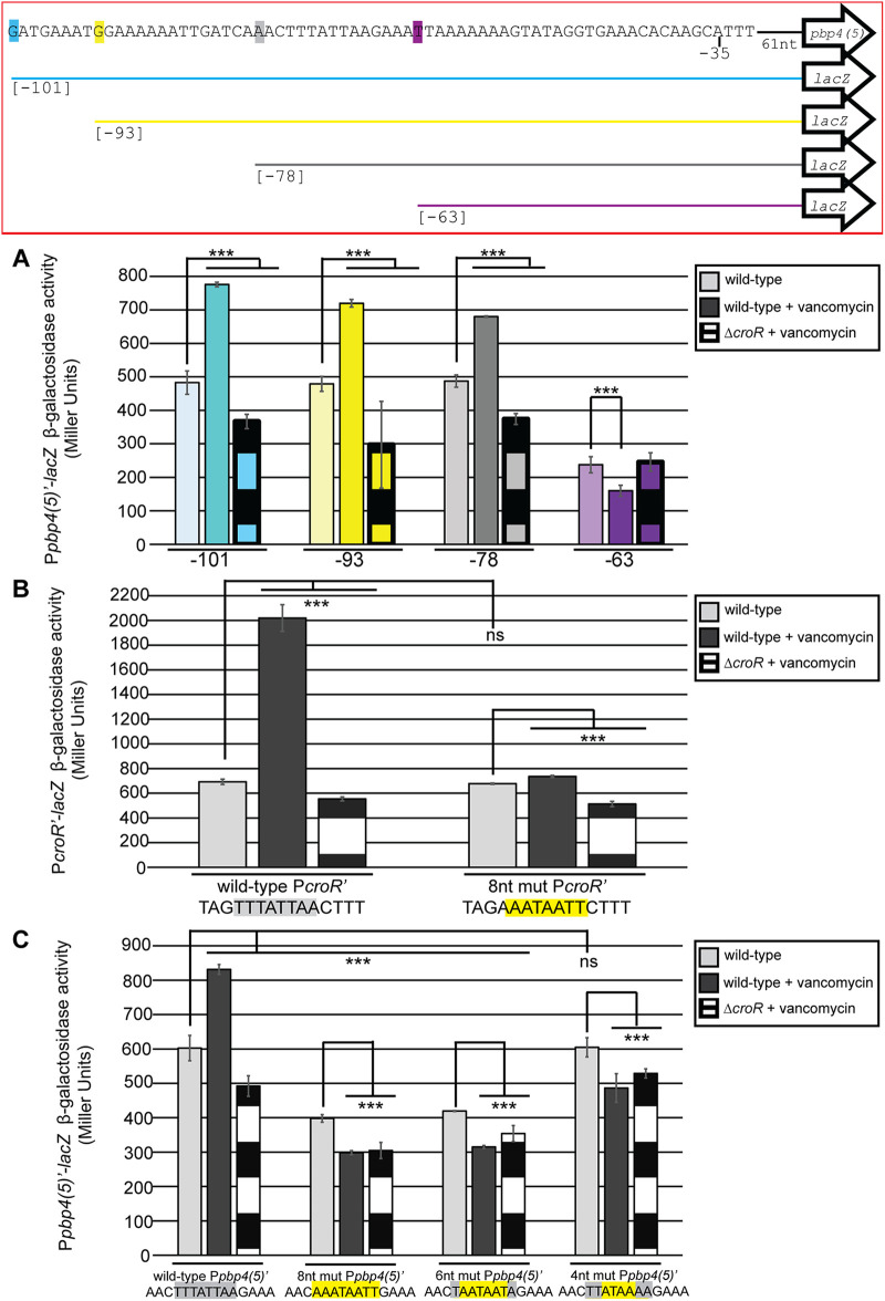 FIG 3