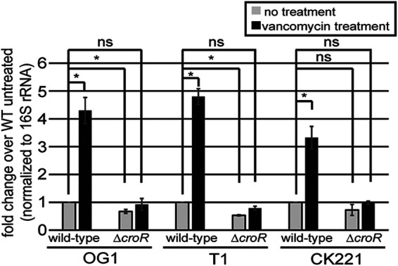 FIG 1