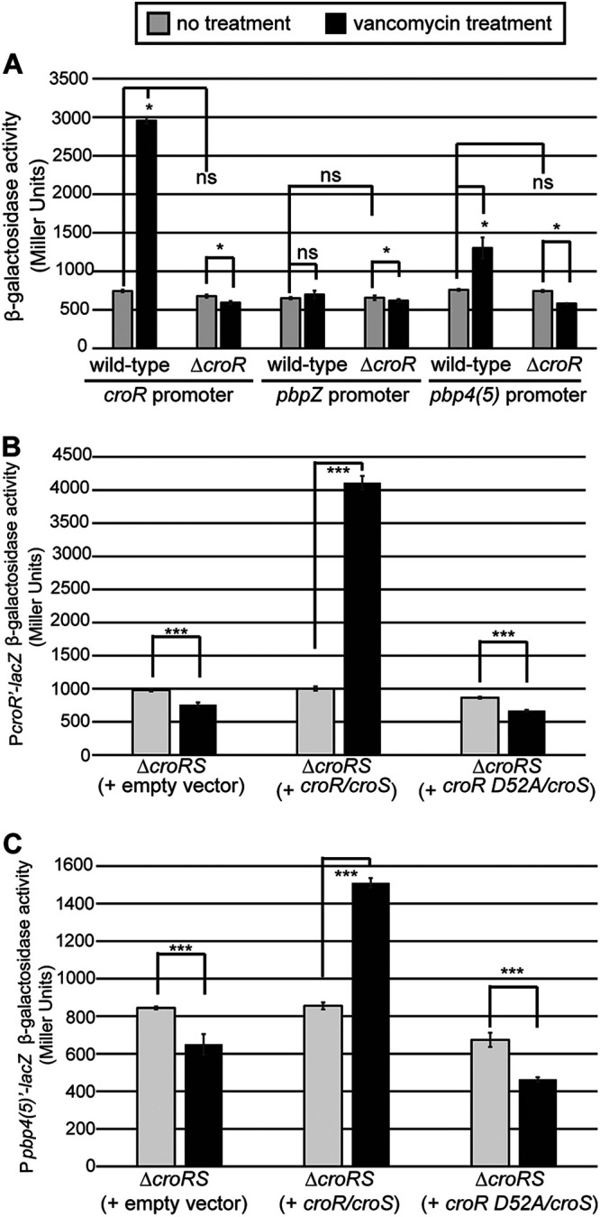 FIG 2