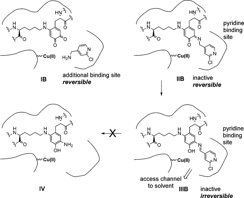 Scheme 2