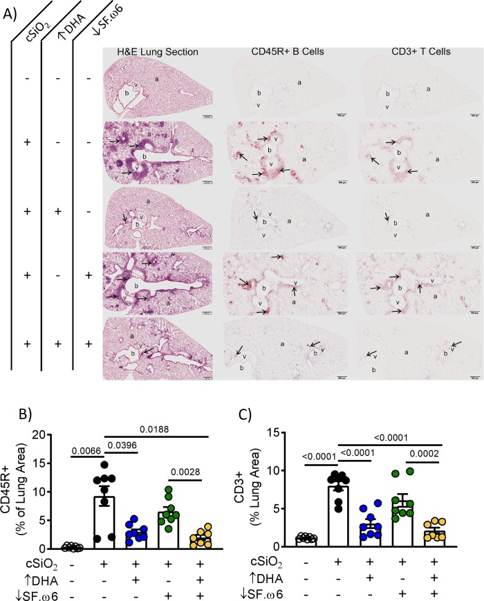 Fig 9