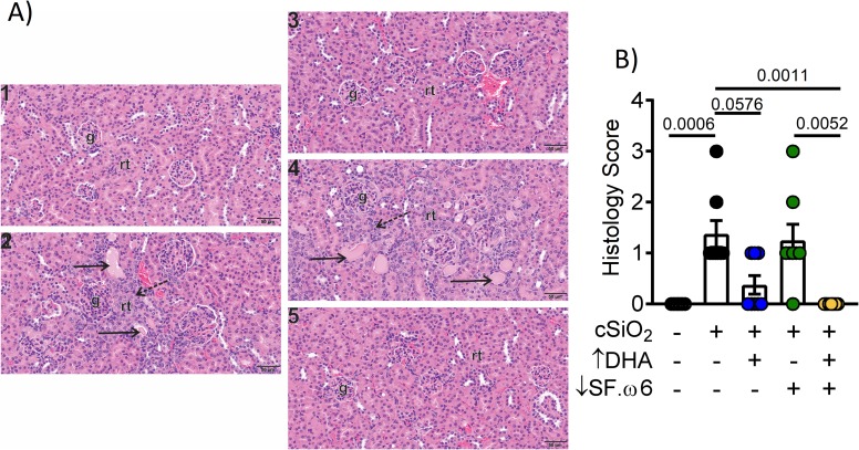 Fig 11