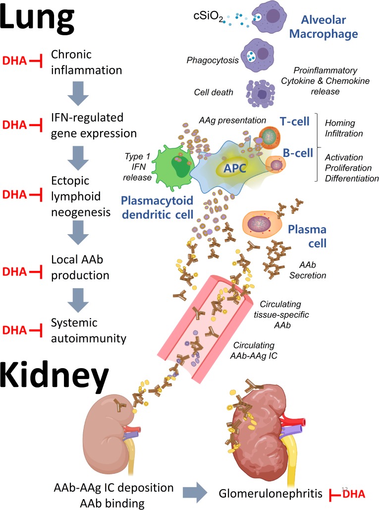 Fig 12