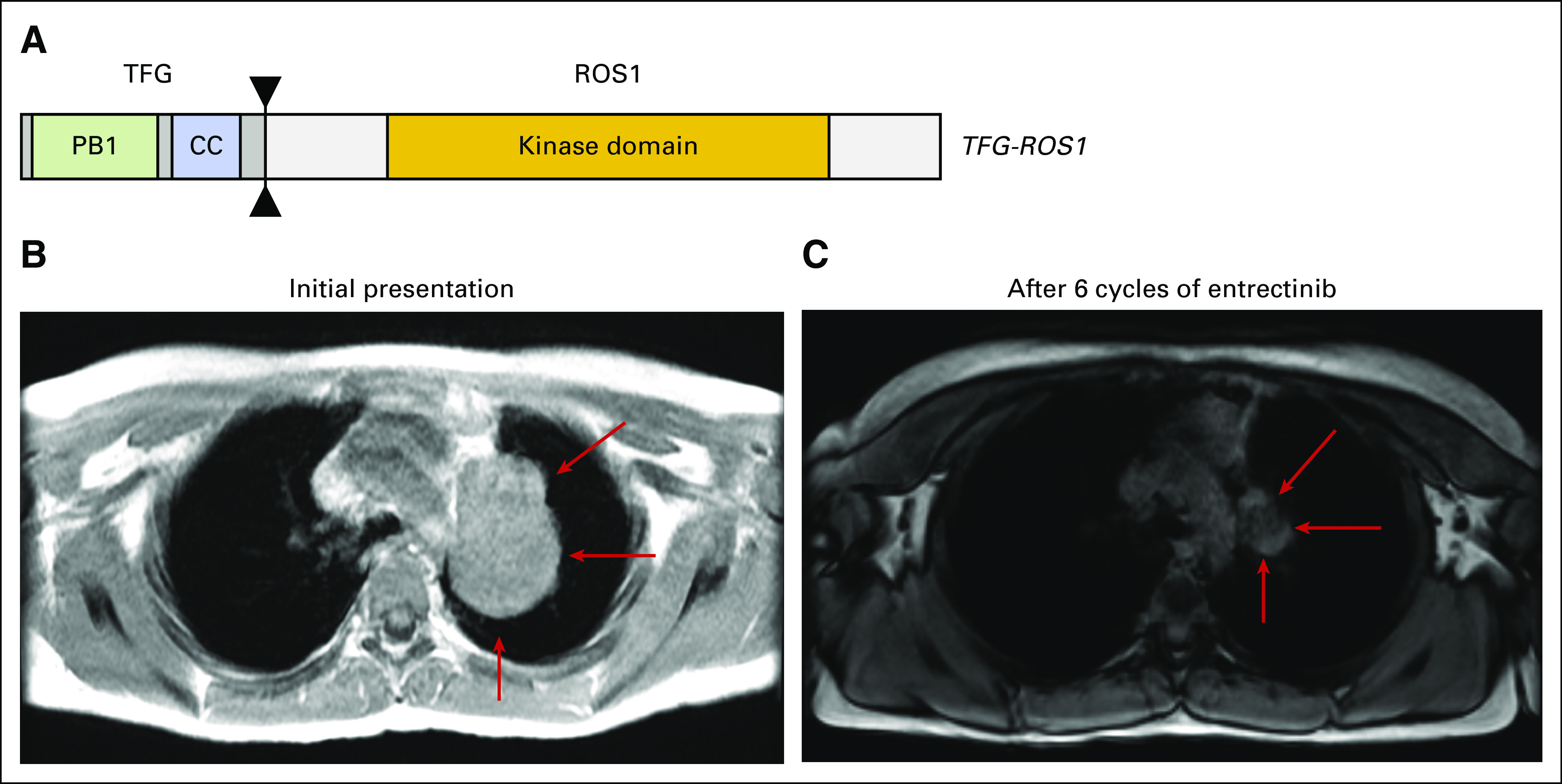 Fig 2.