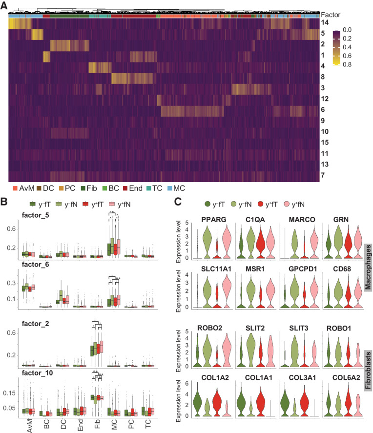 Figure 5. Tumor microenvironment deregulation by smoking. A, Using all non-malignant cells from young female patients in tumor and normal lung samples, gene expression signatures delineating cell types and states were identified by NMF. Color scale indicates factor representation in each cell. B, Contribution of selected factors to observed gene expression in different cell types is depicted separately for tumor and non-tumor tissue samples from never smokers (•/•) and smokers (•/•). * depict P values < 0.001 calculated by two-sided ANOVA with post hoc test using the Tukey “Honest Significant Difference” method. Statistical analysis is only shown for cell types of interest. C, Expression levels of significant genes represented in the factors shown in (B), across tumor and non-tumor tissue samples from never smokers (•/•) and smokers (•/•).