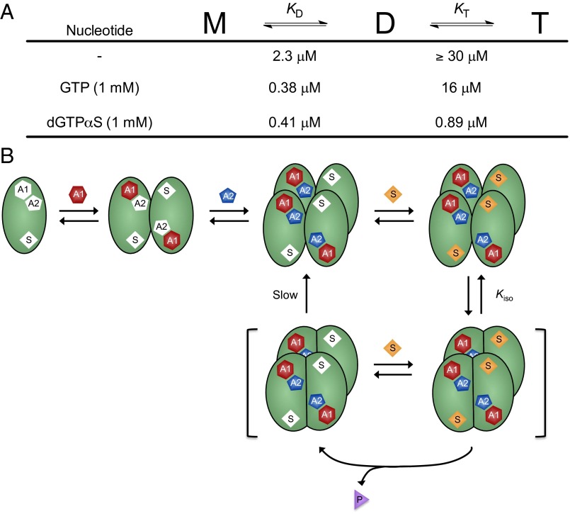 Fig. 6.