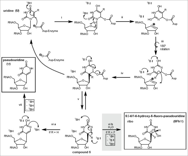 Figure 7.