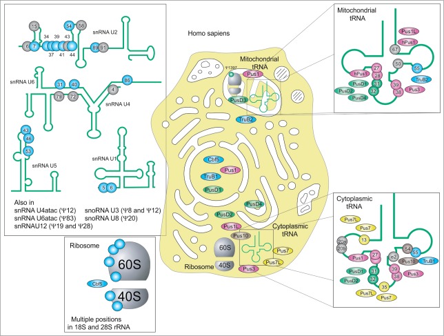 Figure 6.