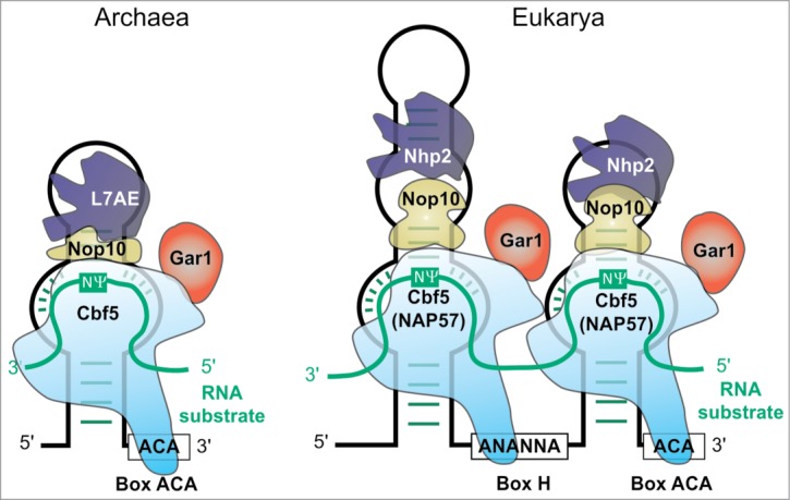 Figure 2.