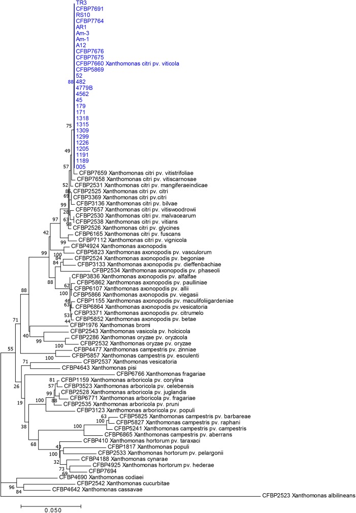 FIGURE 1