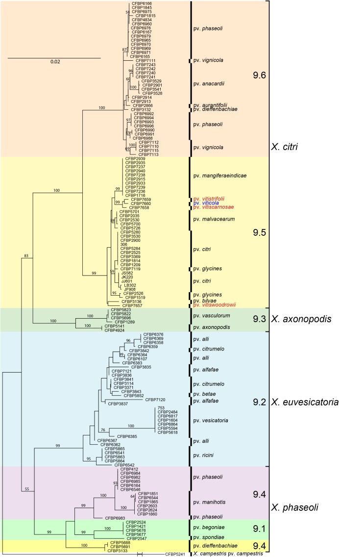 FIGURE 2