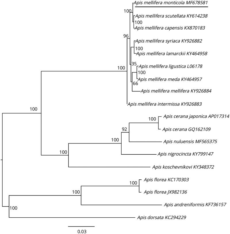 Figure 1.