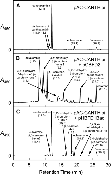 Figure 5.